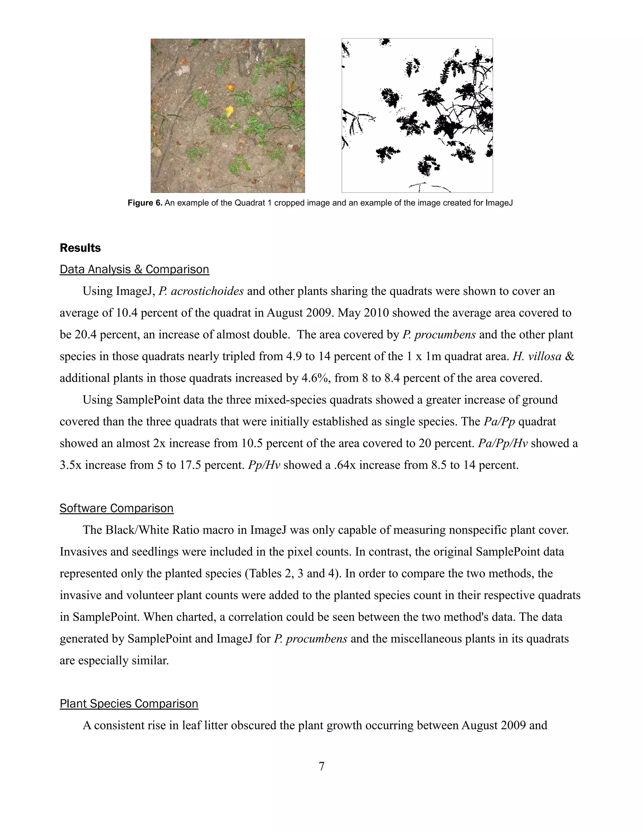 Figure 6. An example of the Quadrat 1 cropped image and an example of the image created for ImageJ




Results
Data Analysis & Comparison
    Using ImageJ, P. acrostichoides and other plants sharing the quadrats were shown to cover an
average of 10.4 percent of the quadrat in August 2009. May 2010 showed the average area covered to
be 20.4 percent, an increase of almost double. The area covered by P. procumbens and the other plant
species in those quadrats nearly tripled from 4.9 to 14 percent of the 1 x 1m quadrat area. H. villosa &
additional plants in those quadrats increased by 4.6%, from 8 to 8.4 percent of the area covered.
    Using SamplePoint data the three mixed-species quadrats showed a greater increase of ground
covered than the three quadrats that were initially established as single species. The Pa/Pp quadrat
showed an almost 2x increase from 10.5 percent of the area covered to 20 percent. Pa/Pp/Hv showed a
3.5x increase from 5 to 17.5 percent. Pp/Hv showed a .64x increase from 8.5 to 14 percent.


Software Comparison
    The Black/White Ratio macro in ImageJ was only capable of measuring nonspecific plant cover.
Invasives and seedlings were included in the pixel counts. In contrast, the original SamplePoint data
represented only the planted species (Tables 2, 3 and 4). In order to compare the two methods, the
invasive and volunteer plant counts were added to the planted species count in their respective quadrats
in SamplePoint. When charted, a correlation could be seen between the two method's data. The data
generated by SamplePoint and ImageJ for P. procumbens and the miscellaneous plants in its quadrats
are especially similar.


Plant Species Comparison
    A consistent rise in leaf litter obscured the plant growth occurring between August 2009 and


                                                              7
 