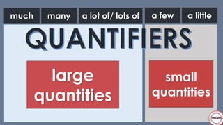 Quantifiers: English Language | PDF