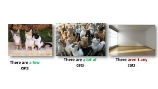 There are a few
cats
There are a lot of
cats
There aren´t any
cats
 