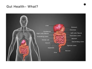31
Gut Health– What?
 