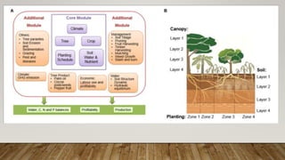 Method of Quantifying interactions and its types | PPTX