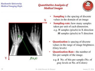 digital Image Processing Quantitative Analysis | PDF