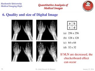 digital Image Processing Quantitative Analysis | PDF