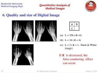 digital Image Processing Quantitative Analysis | PDF
