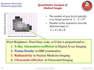 digital Image Processing Quantitative Analysis | PDF