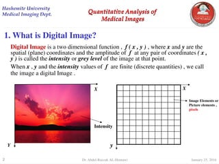 digital Image Processing Quantitative Analysis | PDF