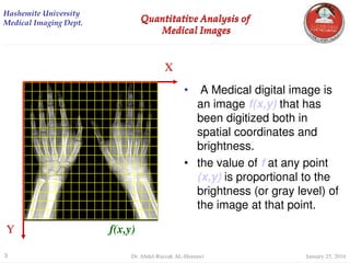 digital Image Processing Quantitative Analysis | PDF