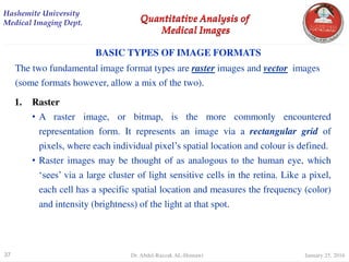 digital Image Processing Quantitative Analysis | PDF