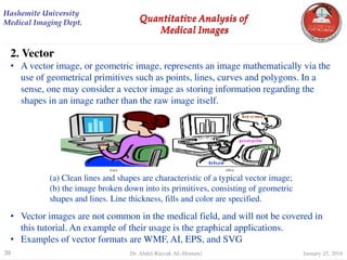 digital Image Processing Quantitative Analysis | PDF