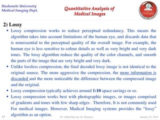 digital Image Processing Quantitative Analysis | PDF