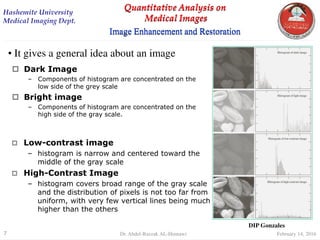 digital Image Processing Quantitative Analysis | PDF