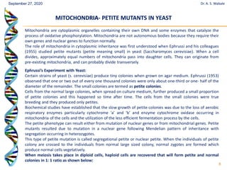 8
Mitochondria are cytoplasmic organelles containing their own DNA and some enzymes that catalyze the
process of oxidative phosphorylation. Mitochondria are not autonomous bodies because they require their
own genes and nuclear genes to function normally.
The role of mitochondria in cytoplasmic inheritance was first understood when Ephrussi and his colleagues
(1955) studied petite mutants (petite meaning small) in yeast (Saccharomyces cerevisiae). When a cell
divides, approximately equal numbers of mitochondria pass into daughter cells. They can originate from
pre-existing mitochondria, and can probably divide transversely.
Ephrussi’s Experiment with Yeast:
Certain strains of yeast (s. cerevisiae) produce tiny colonies when grown on agar medium. Ephrussi (1953)
observed that one or two out of every one thousand colonies were only about one-third or one- half of the
diameter of the remainder. The small colonies are termed as petite colonies.
Cells from the normal large colonies, when spread on culture medium, further produced a small proportion
of petite colonies and this happened so time after time. The cells from the small colonies were true
breeding and they produced only petites.
Biochemical studies have established that the slow growth of petite colonies was due to the loss of aerobic
respiratory enzymes particularly cytochrome ‘a’ and ‘b’ and enzyme cytochrome oxidase occurring in
mitochondria of the cells and the utilization of the less efficient fermentation process by the cells.
The petite phenotype can result either from mutation of nuclear genes or from mitochondrial genes. Petite
mutants resulted due to mutation in a nuclear gene following Mendelian pattern of inheritance with
segregation occurring in heterozygotes.
This type of petite mutation is called segregational petite or nuclear petite. When the individuals of petite
colony are crossed to the individuals from normal large sized colony, normal zygotes are formed which
produce normal cells vegetatively.
When meiosis takes place in diploid cells, haploid cells are recovered that will form petite and normal
colonies in 1: 1 ratio as shown below:
MITOCHONDRIA
MITOCHONDRIA-
- PETITE MUTANTS IN YEAST
PETITE MUTANTS IN YEAST
Dr. A. S. Wabale
September 27, 2020
 