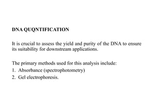Quantitative and Qualitative Analysis of DNA.pptx