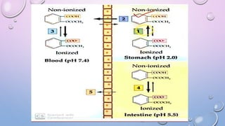 Quantitative approach to the to the factor influcing solubility of drug; (Solubility of drug part-4)s