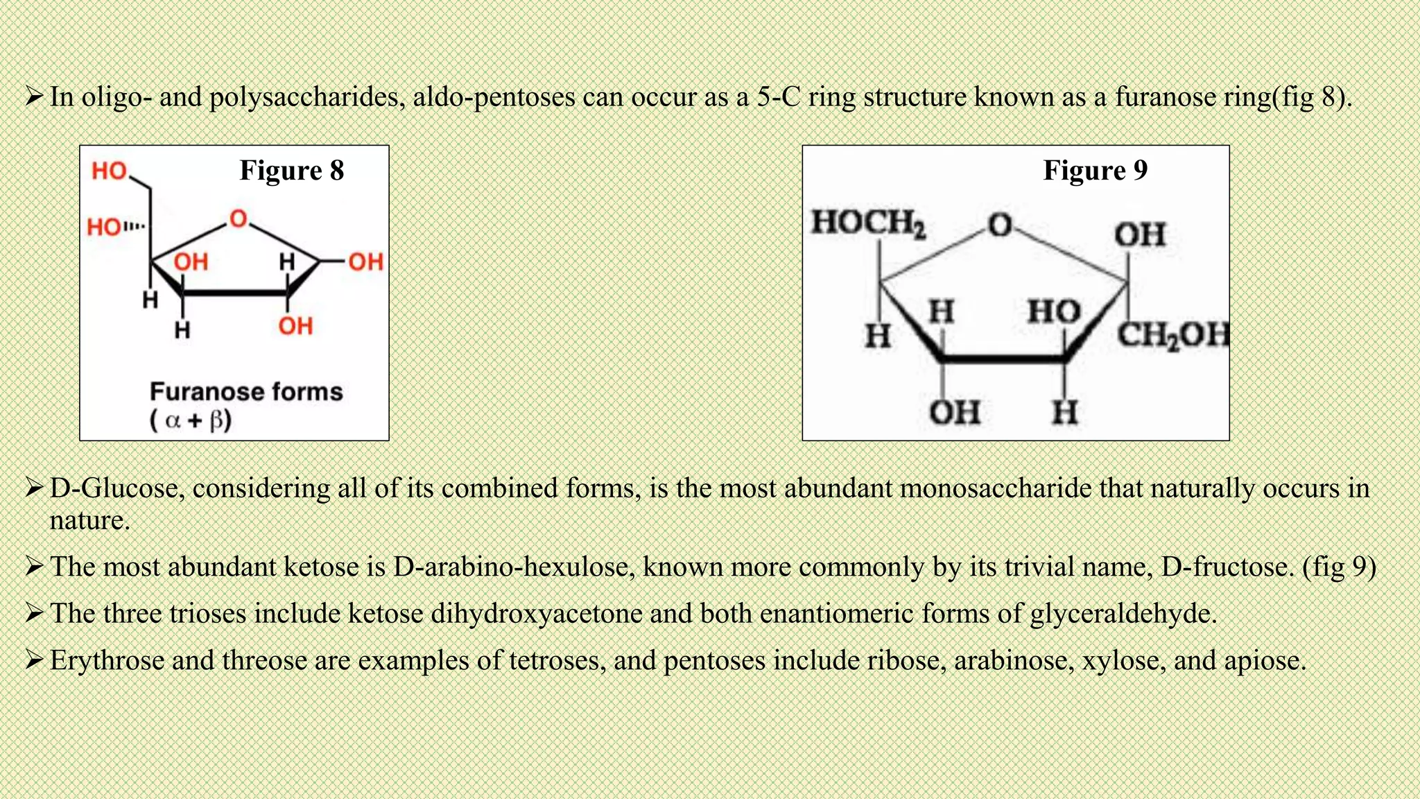In oligo- and polysaccharides, aldo-pentoses can occur as a 5-C ring structure known as a furanose ring(fig 8).
D-Glucose, considering all of its combined forms, is the most abundant monosaccharide that naturally occurs in
nature.
The most abundant ketose is D-arabino-hexulose, known more commonly by its trivial name, D-fructose. (fig 9)
The three trioses include ketose dihydroxyacetone and both enantiomeric forms of glyceraldehyde.
Erythrose and threose are examples of tetroses, and pentoses include ribose, arabinose, xylose, and apiose.
Figure 8 Figure 9
 