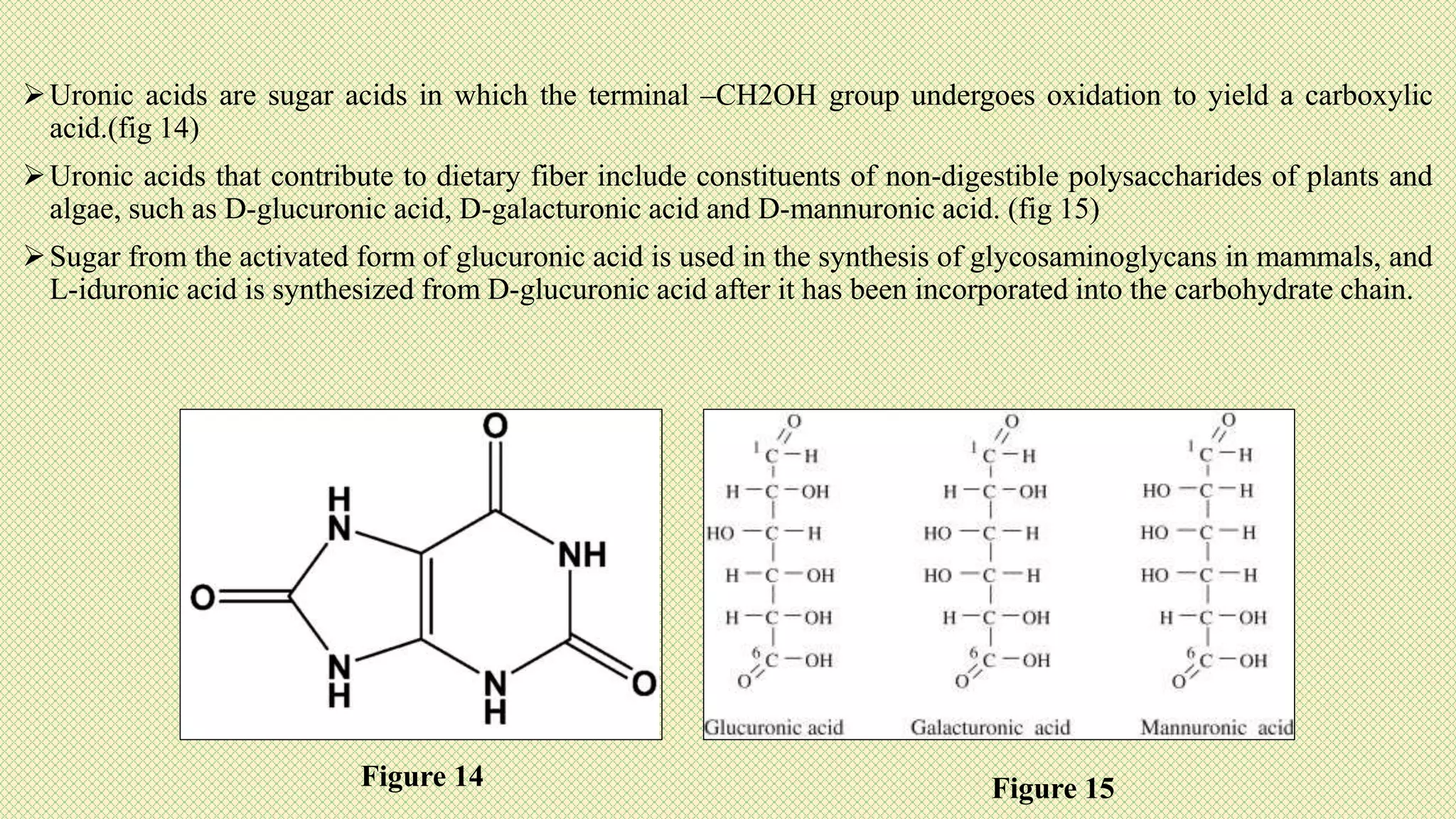 Uronic acids are sugar acids in which the terminal –CH2OH group undergoes oxidation to yield a carboxylic
acid.(fig 14)
Uronic acids that contribute to dietary fiber include constituents of non-digestible polysaccharides of plants and
algae, such as D-glucuronic acid, D-galacturonic acid and D-mannuronic acid. (fig 15)
Sugar from the activated form of glucuronic acid is used in the synthesis of glycosaminoglycans in mammals, and
L-iduronic acid is synthesized from D-glucuronic acid after it has been incorporated into the carbohydrate chain.
Figure 14 Figure 15
 