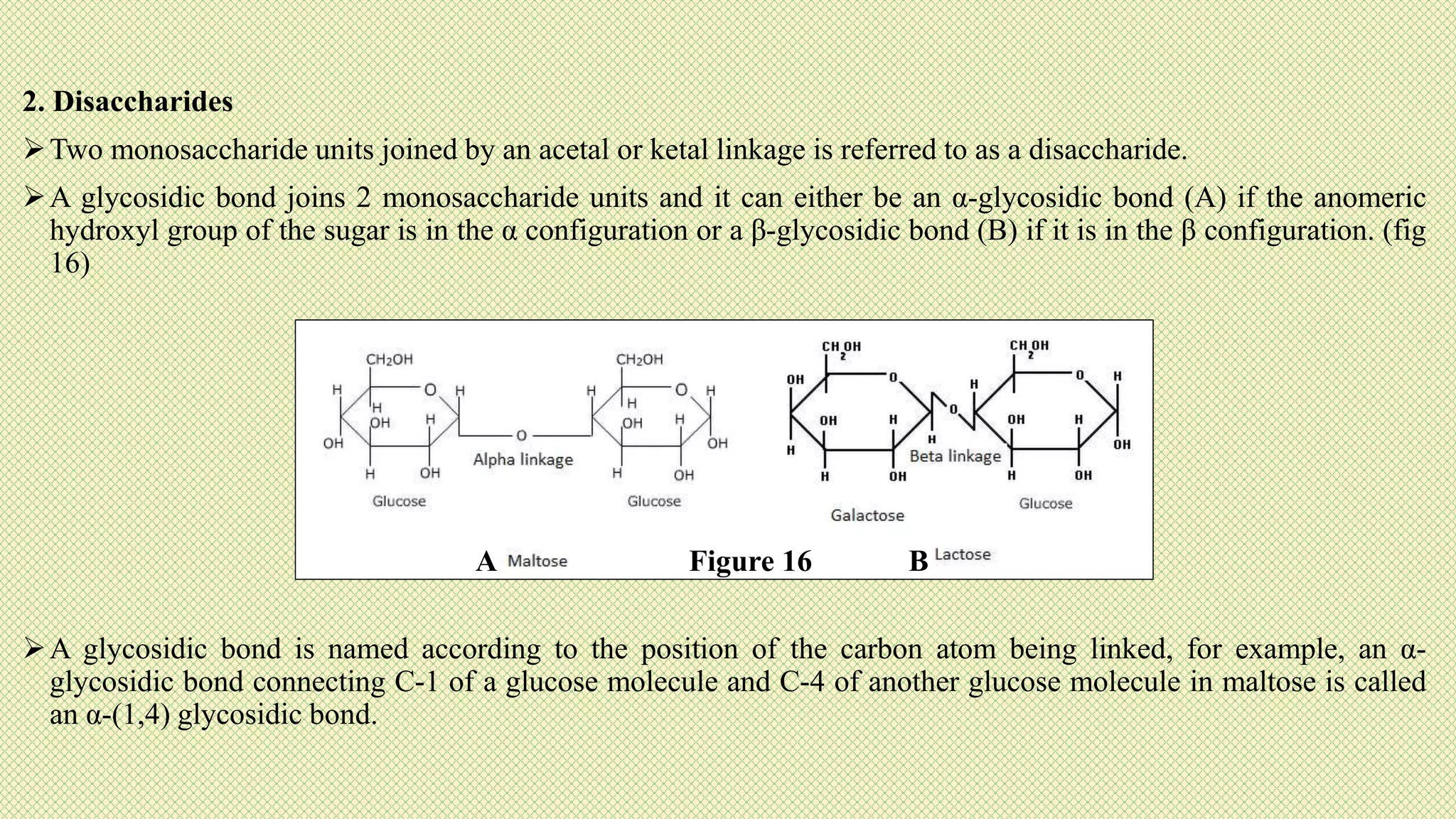 2. Disaccharides
Two monosaccharide units joined by an acetal or ketal linkage is referred to as a disaccharide.
A glycosidic bond joins 2 monosaccharide units and it can either be an α-glycosidic bond (A) if the anomeric
hydroxyl group of the sugar is in the α configuration or a β-glycosidic bond (B) if it is in the β configuration. (fig
16)
A glycosidic bond is named according to the position of the carbon atom being linked, for example, an α-
glycosidic bond connecting C-1 of a glucose molecule and C-4 of another glucose molecule in maltose is called
an α-(1,4) glycosidic bond.
Figure 16
A B
 