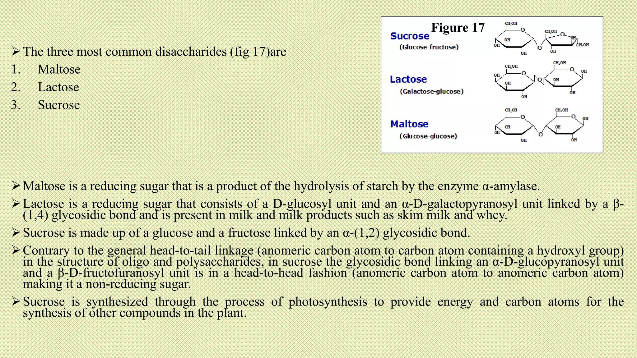 The three most common disaccharides (fig 17)are
1. Maltose
2. Lactose
3. Sucrose
Maltose is a reducing sugar that is a product of the hydrolysis of starch by the enzyme α-amylase.
Lactose is a reducing sugar that consists of a D-glucosyl unit and an α-D-galactopyranosyl unit linked by a β-
(1,4) glycosidic bond and is present in milk and milk products such as skim milk and whey.
Sucrose is made up of a glucose and a fructose linked by an α-(1,2) glycosidic bond.
Contrary to the general head-to-tail linkage (anomeric carbon atom to carbon atom containing a hydroxyl group)
in the structure of oligo and polysaccharides, in sucrose the glycosidic bond linking an α-D-glucopyranosyl unit
and a β-D-fructofuranosyl unit is in a head-to-head fashion (anomeric carbon atom to anomeric carbon atom)
making it a non-reducing sugar.
Sucrose is synthesized through the process of photosynthesis to provide energy and carbon atoms for the
synthesis of other compounds in the plant.
Figure 17
 