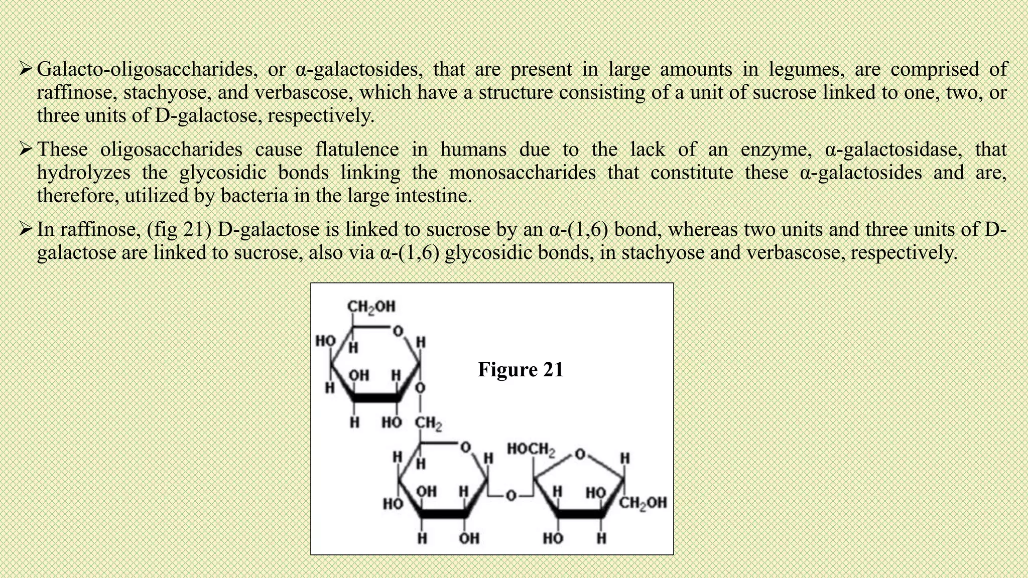 Galacto-oligosaccharides, or α-galactosides, that are present in large amounts in legumes, are comprised of
raffinose, stachyose, and verbascose, which have a structure consisting of a unit of sucrose linked to one, two, or
three units of D-galactose, respectively.
These oligosaccharides cause flatulence in humans due to the lack of an enzyme, α-galactosidase, that
hydrolyzes the glycosidic bonds linking the monosaccharides that constitute these α-galactosides and are,
therefore, utilized by bacteria in the large intestine.
In raffinose, (fig 21) D-galactose is linked to sucrose by an α-(1,6) bond, whereas two units and three units of D-
galactose are linked to sucrose, also via α-(1,6) glycosidic bonds, in stachyose and verbascose, respectively.
Figure 21
 