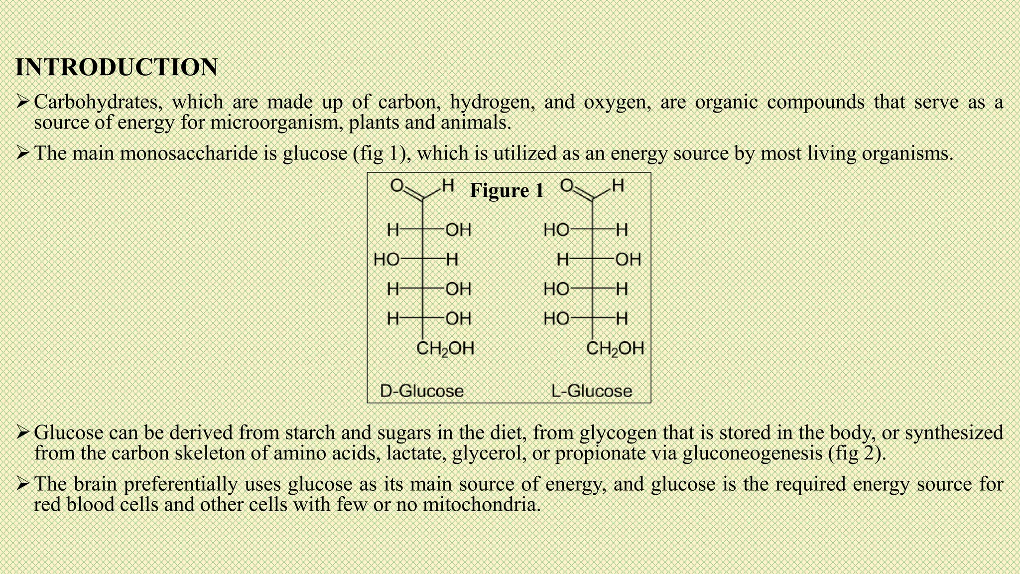 INTRODUCTION
Carbohydrates, which are made up of carbon, hydrogen, and oxygen, are organic compounds that serve as a
source of energy for microorganism, plants and animals.
The main monosaccharide is glucose (fig 1), which is utilized as an energy source by most living organisms.
Glucose can be derived from starch and sugars in the diet, from glycogen that is stored in the body, or synthesized
from the carbon skeleton of amino acids, lactate, glycerol, or propionate via gluconeogenesis (fig 2).
The brain preferentially uses glucose as its main source of energy, and glucose is the required energy source for
red blood cells and other cells with few or no mitochondria.
Figure 1
 