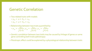 Genetic Correlation
• Two related traits with models
• 𝑦1𝑗 = 𝜇 + 𝐺1𝑖 + 𝜀1𝑗
• 𝑦2𝑗 = 𝜇 + 𝐺2𝑖 + 𝜀2𝑗
• Relationship between two traits quantified by
• 𝜌 𝑝
=
𝜎 𝑝12
𝜎 𝑝1
2 𝜎 𝑝2
2
, 𝜌 𝑔
=
𝜎 𝑔12
𝜎 𝑔1
2 𝜎 𝑔2
2
, 𝜌 𝑒
=
𝜎 𝑒12
𝜎 𝑒1
2 𝜎 𝑒2
2
• Genetic correlation between two traits may be caused by linkage of genes or same
gene controlling both traits (pleiotropy)
• Pleiotropic effect could be explained by a physiological relationship between traits
 