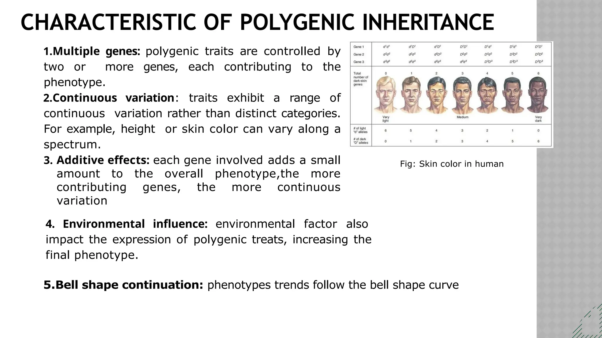 Quantitative Genetics: Decoding the Complexity of Traits | PPTX