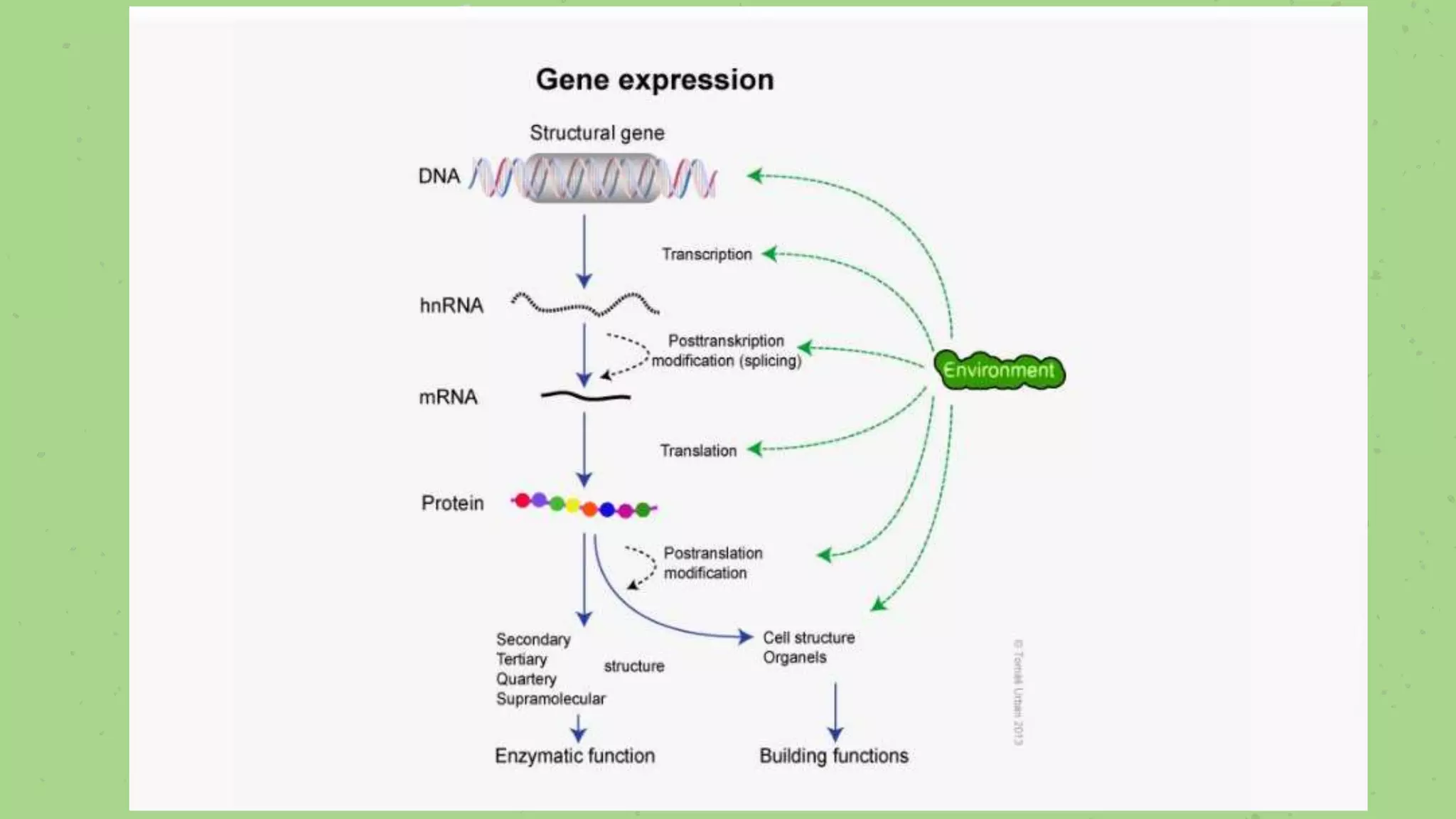 Arabinda Samanta
Assistant Professor
Dept. of Botany
Jhargram Raj College
 