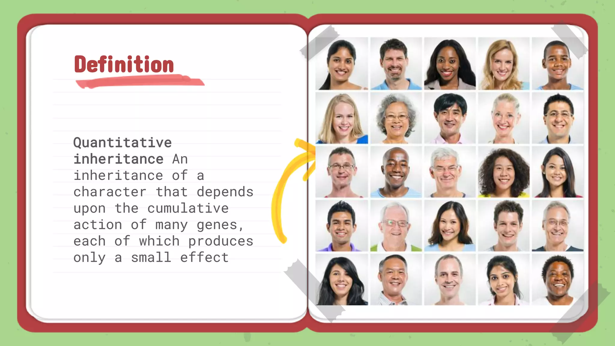 Quantitative
inheritance An
inheritance of a
character that depends
upon the cumulative
action of many genes,
each of which produces
only a small effect
Definition
 