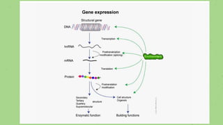 Arabinda Samanta
Assistant Professor
Dept. of Botany
Jhargram Raj College
 