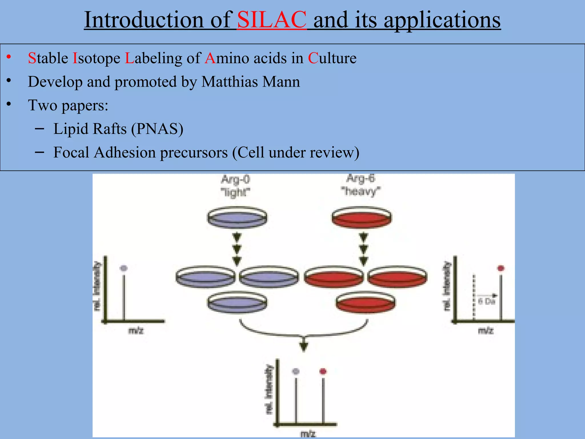Introduction of SILAC and its applications
• Stable Isotope Labeling of Amino acids in Culture
• Develop and promoted by Matthias Mann
• Two papers:
– Lipid Rafts (PNAS)
– Focal Adhesion precursors (Cell under review)
 
