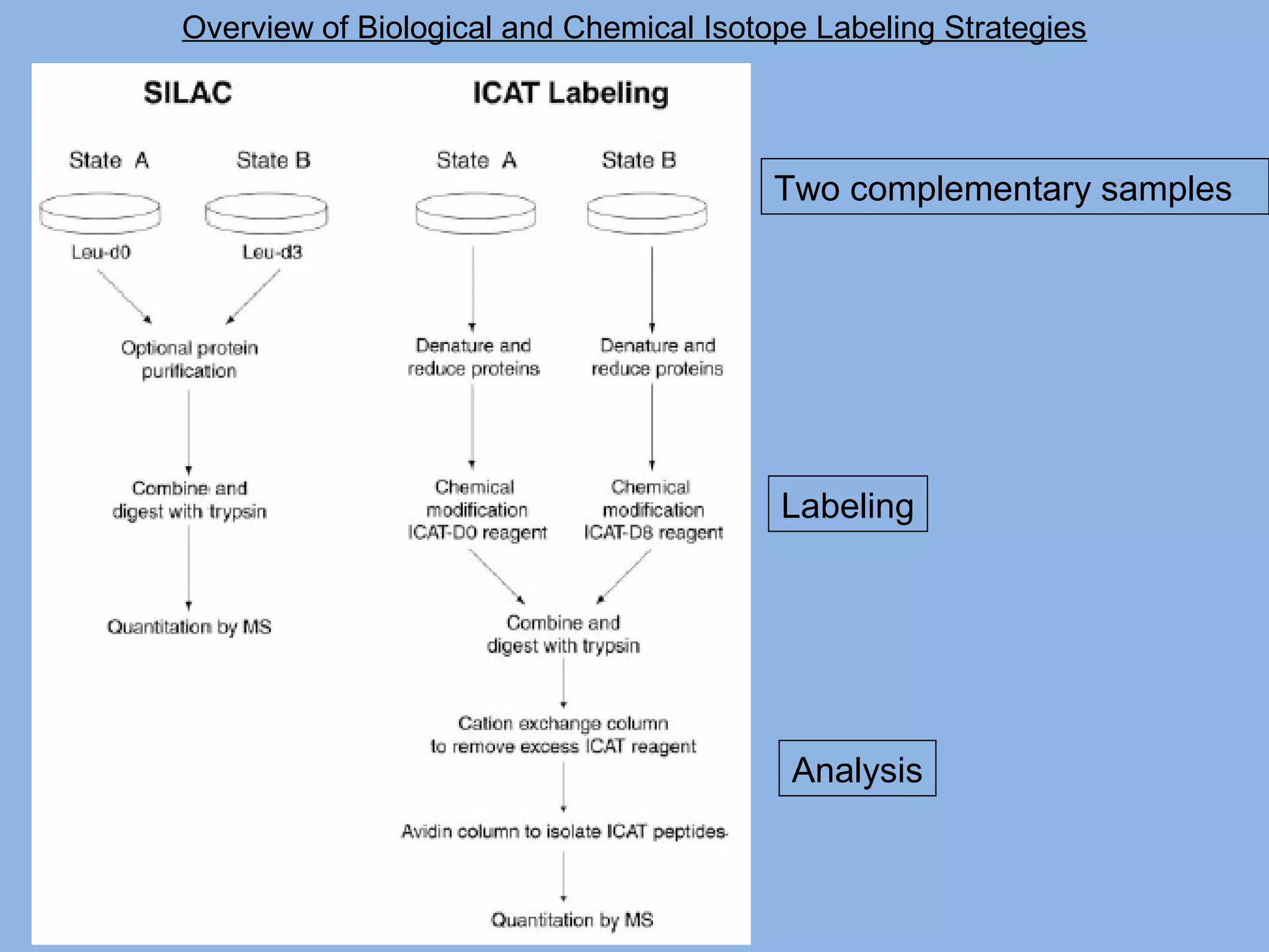 Overview of Biological and Chemical Isotope Labeling Strategies
Two complementary samples
Labeling
Analysis
 