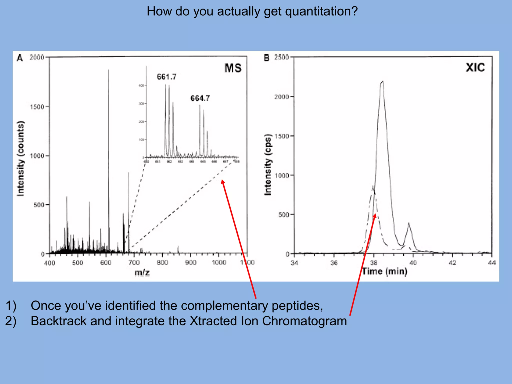 How do you actually get quantitation?
1) Once you’ve identified the complementary peptides,
2) Backtrack and integrate the Xtracted Ion Chromatogram
 