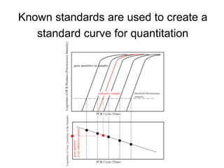 Known standards are used to create a
standard curve for quantitation
 