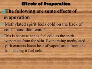 Effects of Evaporation
The following are some effects of
 evaporation
 Methylated spirit feels cold on the back of
 your hand than water.
 This is because hands feel cold as the spirit
 evaporates from the skin. Evaporating methylated
 spirit extracts latent heat of vaporisation from the
 skin making it feel cold.
 