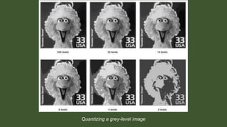 Image Quantization | PPTX