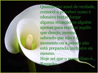 Quando me amei de verdade, comecei a perceber como é ofensivo tentar forçar alguma situação ou alguém apenas para realizar aquilo que desejo, mesmo sabendo que não é o momento ou a pessoa não está preparada, inclusive eu mesmo. Hoje sei que o nome disso é... Respeito. 