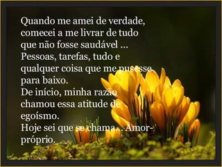 Quando me amei de verdade, comecei a me livrar de tudo que não fosse saudável ... Pessoas, tarefas, tudo e qualquer coisa que me pusesse para baixo. De início, minha razão chamou essa atitude de egoísmo. Hoje sei que se chama... Amor-próprio. 