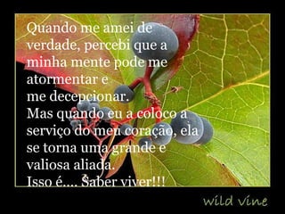 Quando me amei de verdade, percebi que a minha mente pode me atormentar e me decepcionar. Mas quando eu a coloco a serviço do meu coração, ela se torna uma grande e valiosa aliada. Isso é.... Saber viver!!! 