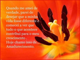 Quando me amei de verdade, parei de desejar que a minha vida fosse diferente e comecei a ver que tudo o que acontece contribui para o meu crescimento . Hoje chamo isso de... Amadurecimento. 