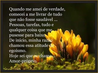 Quando me amei de verdade, comecei a me livrar de tudo que não fosse saudável ... Pessoas, tarefas, tudo e qualquer coisa que me pusesse para baixo. De início, minha razão chamou essa atitude de egoísmo. Hoje sei que se chama... Amor-próprio. 