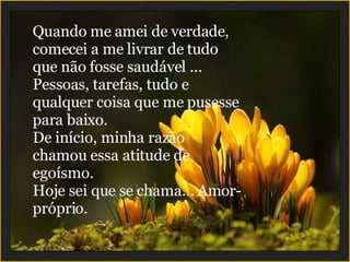 Quando me amei de verdade, comecei a me livrar de tudo que não fosse saudável ... Pessoas, tarefas, tudo e qualquer coisa que me pusesse para baixo. De início, minha razão chamou essa atitude de egoísmo. Hoje sei que se chama... Amor-próprio. 