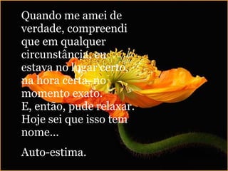 Quando me amei de verdade, compreendi que em qualquer circunstância, eu estava no lugar certo, na hora certa, no momento exato. E, então, pude relaxar. Hoje sei que isso tem nome...  Auto-estima. 