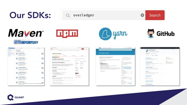 Quant Overledger for Mobility, IOT and Automotive sectors - MOBI ...