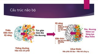 Cấu trúc não bộ
Tức giận
Căm thù
Tổn thương
Yêu thương
Niềm vui
Ság tạo
Mạo hiểm
 