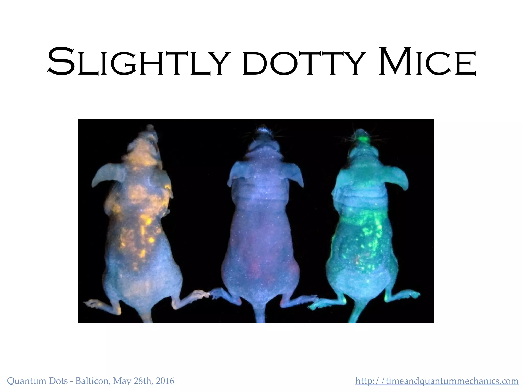http://timeandquantummechanics.comQuantum Dots - Balticon, May 28th, 2016
Slightly dotty Mice
 