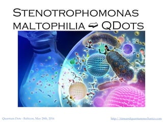 http://timeandquantummechanics.comQuantum Dots - Balticon, May 28th, 2016
Stenotrophomonas
maltophilia ➫ QDots
 