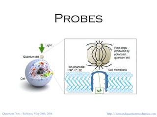 http://timeandquantummechanics.comQuantum Dots - Balticon, May 28th, 2016
Probes
 