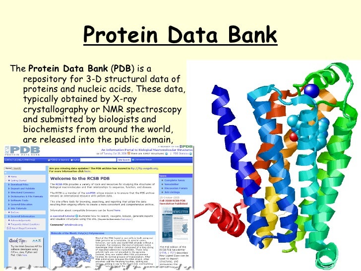 Quantum pharmacology. Basics