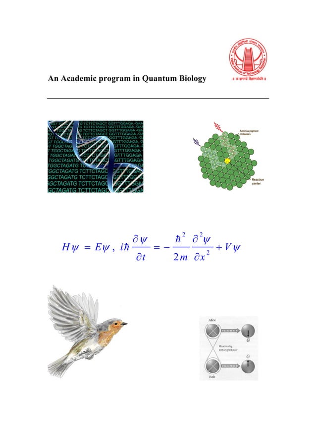Quantum biology | PDF