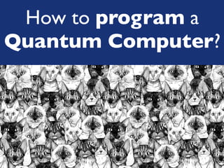 How to program a
Quantum Computer?
 